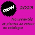  1. Plantes nouvelles ou de retour catalogue 2023/ New or restocked plants